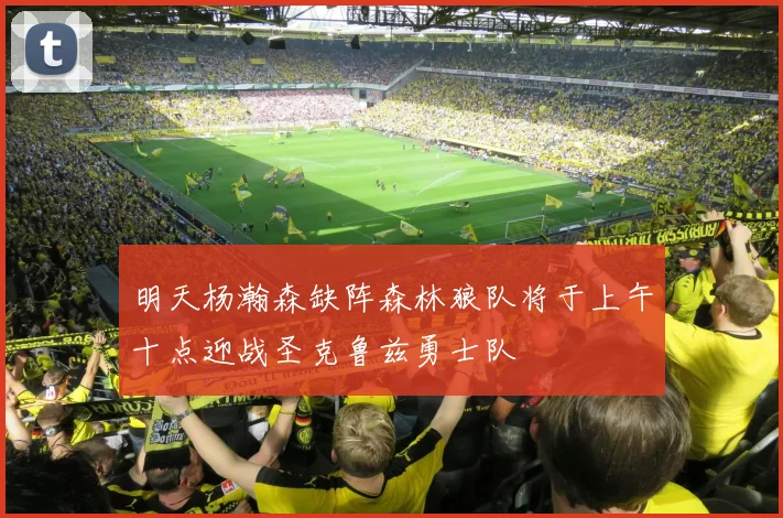 明天杨瀚森缺阵森林狼队将于上午十点迎战圣克鲁兹勇士队